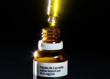 Anvisa amplia regras e autoriza cultivo e venda de cannabis medicinal no Brasil