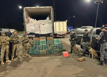 Apreensão de cocaína avaliada em R$ 30 milhões é a maior do ano em Goiás, diz polícia