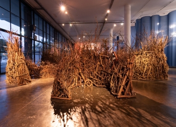 Goiânia recebe exposição da 36ª Bienal de São Paulo no MAC Goiás