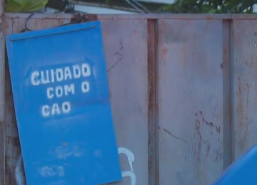 Bebê foi arrancado do colo da mãe por pit bull antes de morrer em Goiânia