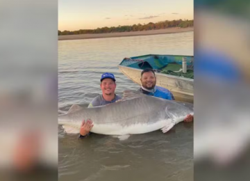 Pescador fisga piraíba de 2,06 metros no Rio Araguaia e reforça importância da preservação 