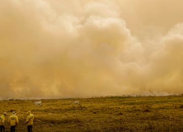 Inmet alerta para baixa umidade e grande risco de incêndios na região metropolitana de Goiânia