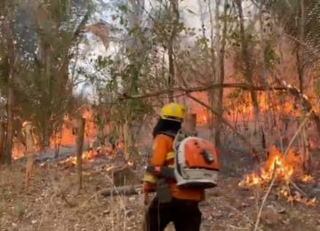 Incêndio na Chapada dos Veadeiros em Goiás já atinge 87 mil hectares