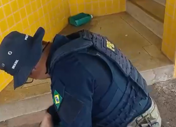 PRF apreende haxixe e prende foragido da Justiça durante fiscalização de ônibus na BR-153