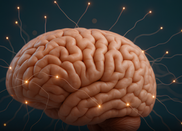 Insultos ficam na memória por décadas, mas elogios somem em 30 dias, revela ciência