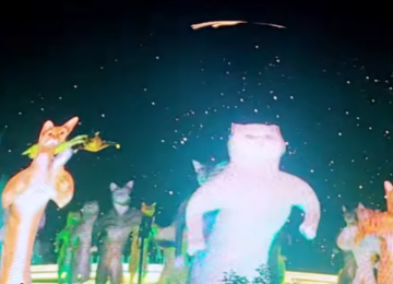 Milionário gasta US$ 400 mil para projetar gatinhos dançantes na maior tela de Las Vegas