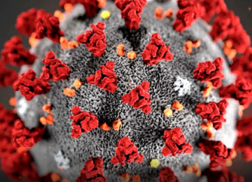 Mais de 40 mil crianças goianas perderam pais ou cuidadores durante a pandemia, aponta estudo