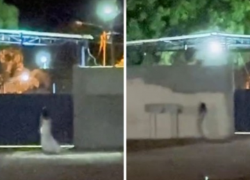 Mulher vestida de noiva é filmada andando em frente a cemitério em Uruaçu