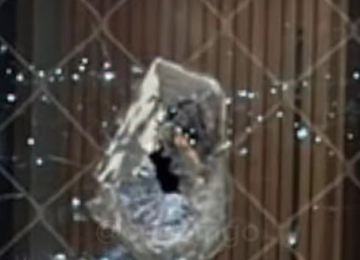 PMGO prende homem que comemorou herança com disparo de arma em apartamento