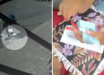 Secretária encontra e devolve R$ 1,8 mil perdidos por gari em Rio Verde