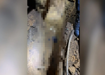 Homem é preso em Caiapônia por matar vítima com veneno e enterrar corpo no quintal