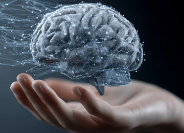 Estudo revela que o envelhecimento do cérebro pode ser controlado por escolhas diárias