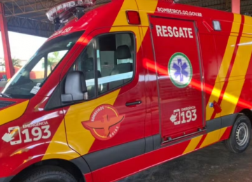 Homem morre após ataque de marimbondos em Aparecida de Goiânia