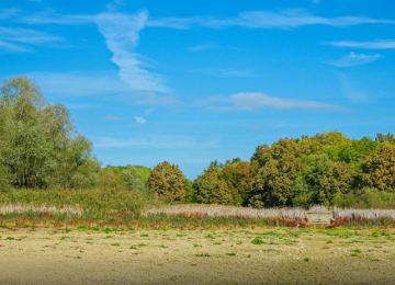 Leilões bancários oferecem imóveis com preços baixos em Goiás neste mês 