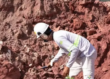 Goiás firma acordo com Japão para explorar terras raras