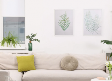 Feng Shui aponta como energia feminina influencia o lar