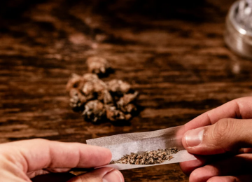 Maconha na adolescência pode dobrar risco de transtornos mentais