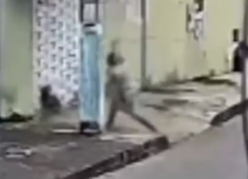 Mulher é presa após agredir cachorro com pauladas em GO