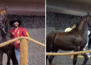 Gusttavo Lima leiloa égua por R$ 1,1 milhão e doa valor a hospital em Goiás
