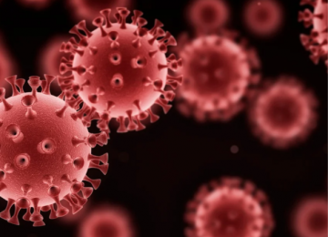 Dois pacientes podem estar curados do HIV após transplante
