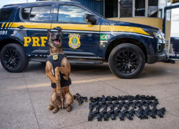 Cão da PRF encontra arsenal com 20 pistolas escondido em ônibus que saiu de Goiânia