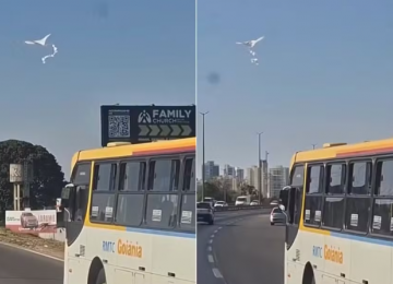 Pipa acompanha ônibus durante trajeto pela BR-153 em Goiânia