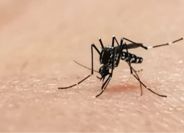 Chikungunya dispara 609% em Goiânia e já supera 2025
