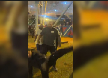 Confusão interrompe aula de Fernando Haddad na Unicamp após manifestação de integrantes do MBL