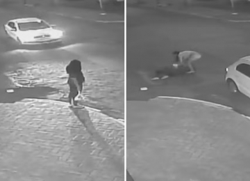 MULHER ARREPENDIDA DE ROUBO A GRÁVIDA LIGA PARA POLÍCIA E SE AUTODENUNCIA 