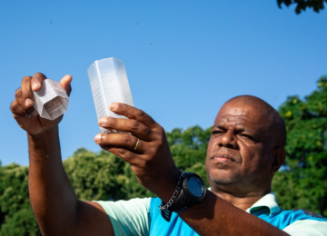 Goiás aposta em soltura de aedes aegypti com bactéria natural para combater a dengue