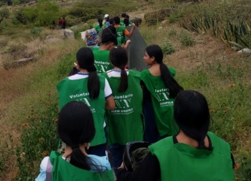 Ações de voluntariado movimentam Goiânia com plantio, bazar beneficente e congresso internacional