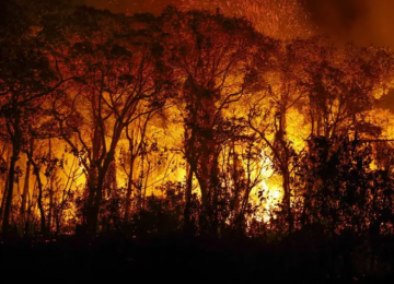Decreto suspende uso do fogo em vegetação em Goiás