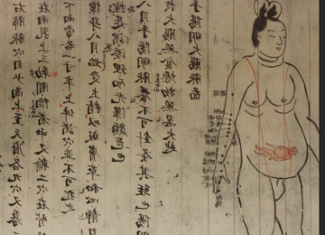 Pergaminho japonês revela segredos milenares para viver mais através do sexo