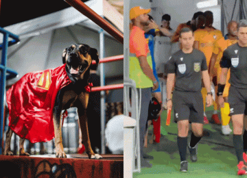 Bahia entra em campo com heróis de quatro patas e promove adoção de cães
