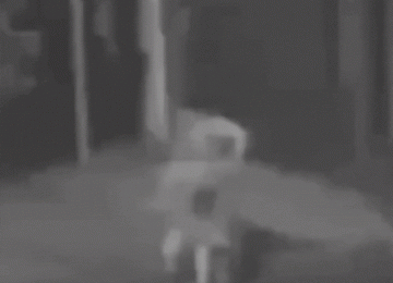 Grávida de gêmeos é atropelada por motorista que fugiu sem prestar socorro em Guarulhos