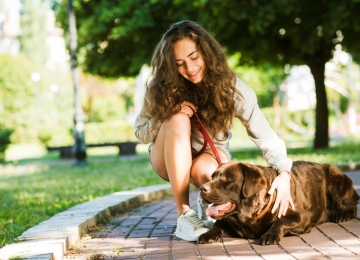 Evento gratuito para pets reúne feira de adoção e bate-papo com especialista neste sábado