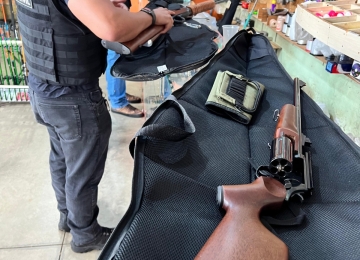 Operação da Polícia Civil apreende 14 armas de fogo e prende seis em Goiás 