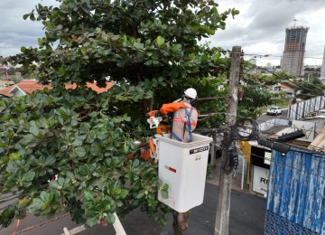 Equatorial Goiás realiza mais de 200 mil podas preventivas em 2025 