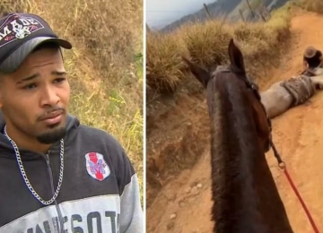Laudo confirma que cavalo mutilado em Bananal estava vivo no momento das agressões