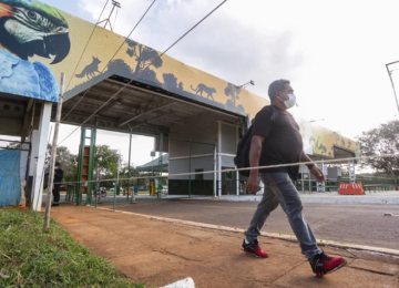 Zoológico de Brasília é fechado após morte de aves; exames vão confirmar ou descartar gripe aviária