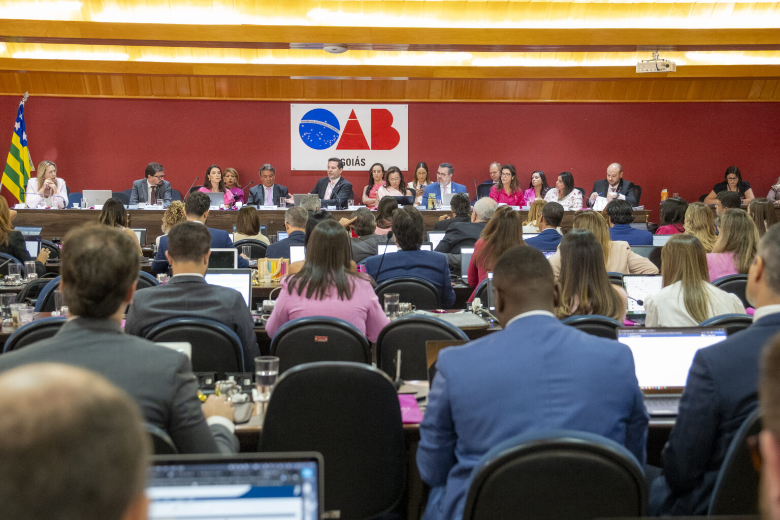 Caixa de Assistência: OAB-GO confirma auxílio-maternidade para advogadas em caso de natimorto