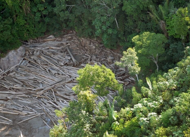 Amazônia perdeu 52 milhões de hectares de vegetação em 40 anos, aponta MapBiomas