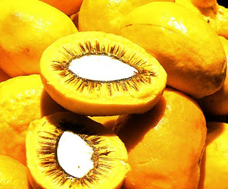 Ceasa Goiás confirma 5ª edição da Festa do Pequi em outubro