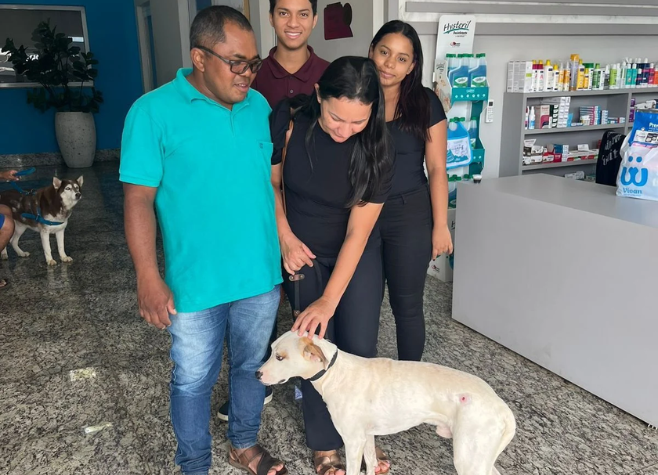Cão ganha novo lar após resgate que comoveu Rio Verde