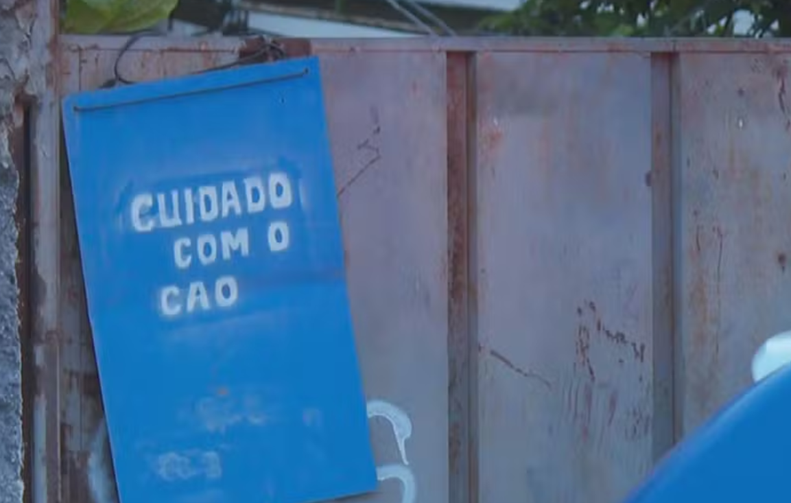 Bebê foi arrancado do colo da mãe por pit bull antes de morrer em Goiânia