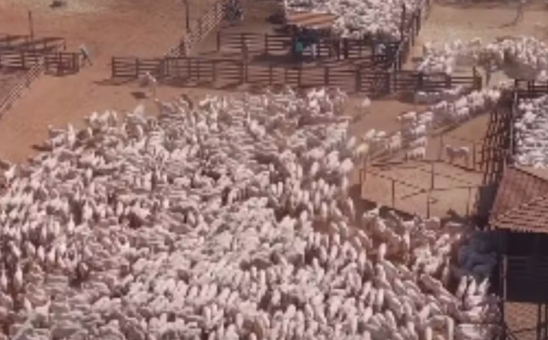 Goiás