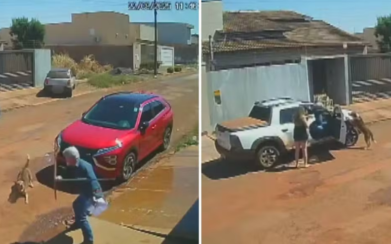 Oficial de justiça atira em cachorro em Santa Helena de Goiás e é afastado por 90 dias 