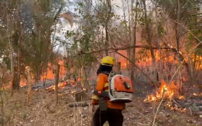 Incêndio na Chapada dos Veadeiros em Goiás já atinge 87 mil hectares