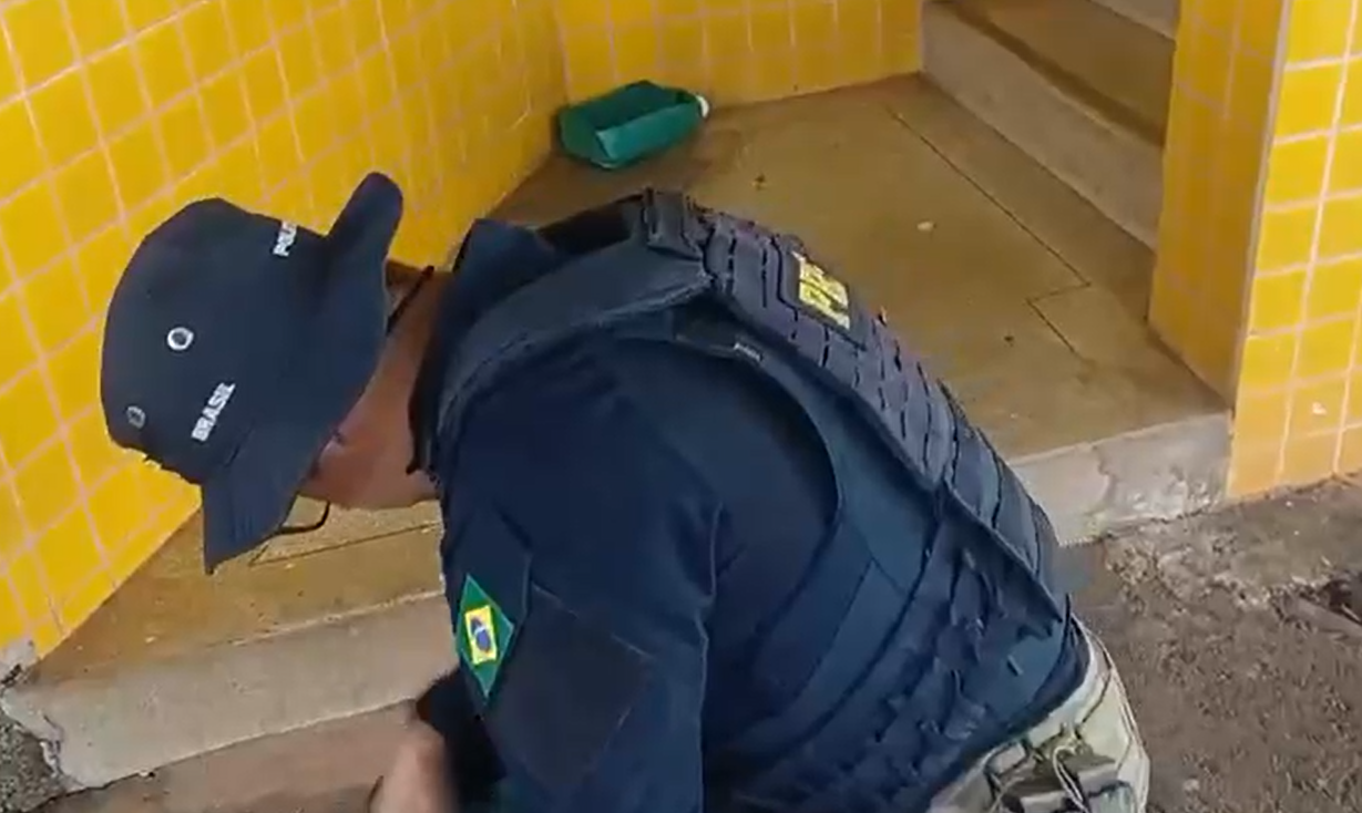 PRF apreende haxixe e prende foragido da Justiça durante fiscalização de ônibus na BR-153