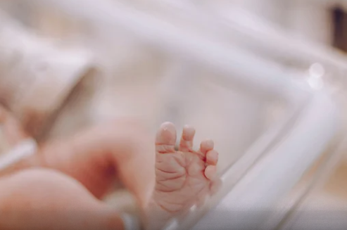 Nomes mais comuns em Goiás revelados pelo IBGE